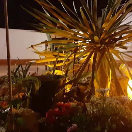 Casa de Campo El Gato Genial