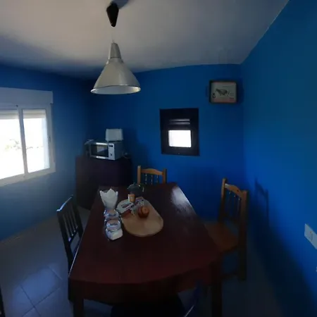 El Gato Genial * Santa Cruz de Tenerife