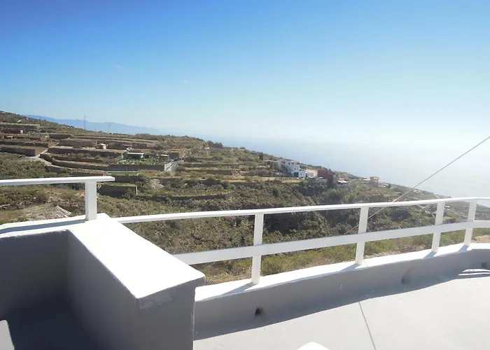 El Gato Genial * Santa Cruz de Tenerife